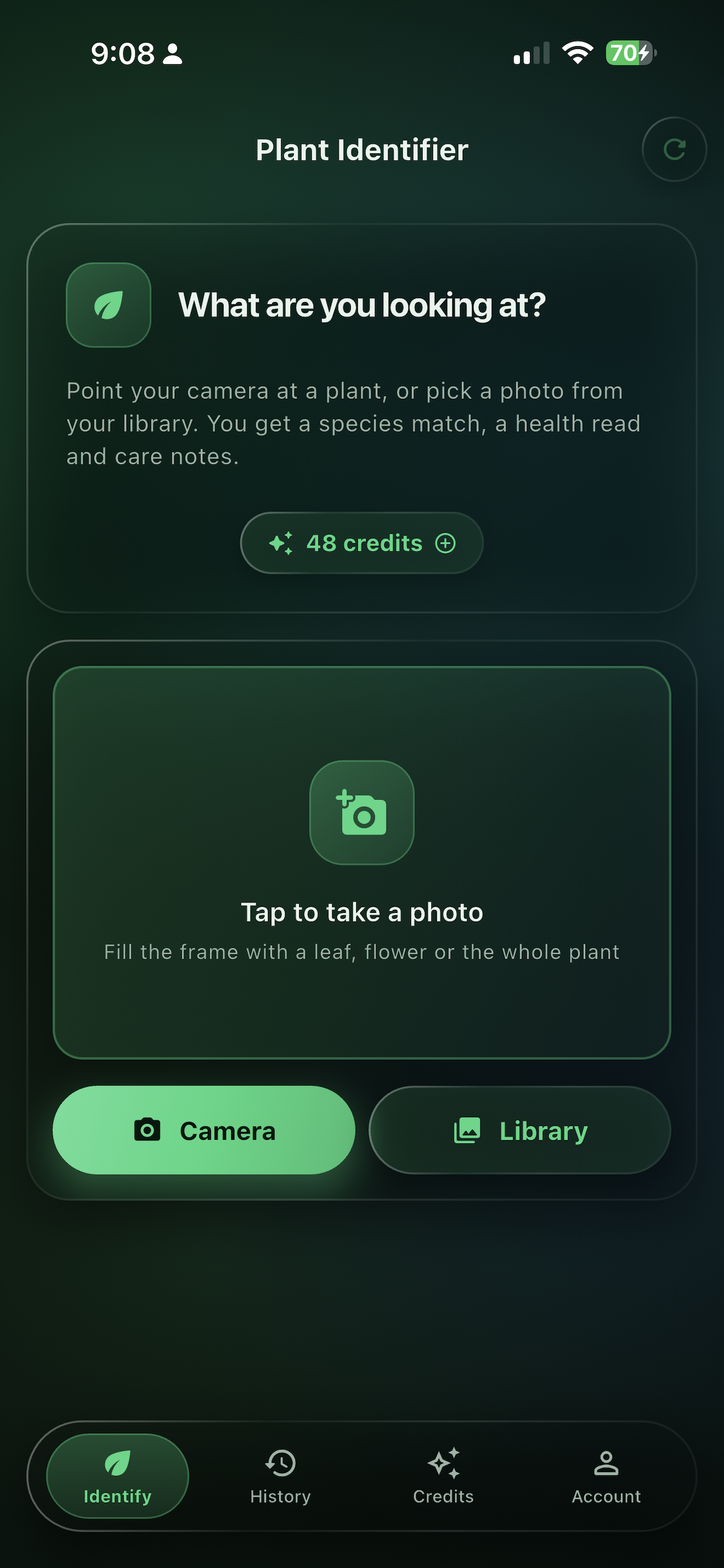 The Budget Plant ID home screen, with camera and gallery buttons and a credit balance